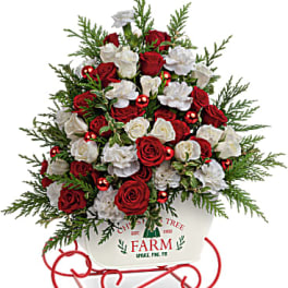White Sleigh christmas tree