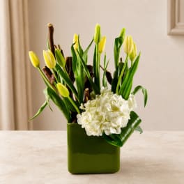 Yellow tulips and white hydrangeas in a green square vase