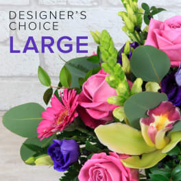LARGE $229.95 Designer's Choice Freshest +Best