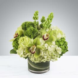 Compact green and white arrangement with orchids and hydrangeas in a glass cylinder vase