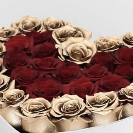 Heart of Gold