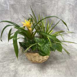 Assorted Garden Basket