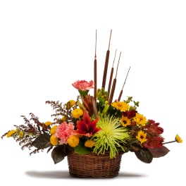 Harvest Basket TMF13-242