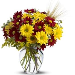 Bouquet of red and yellow daisies in a clear glass vase