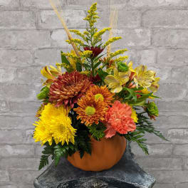 Country Pumpkin FG651