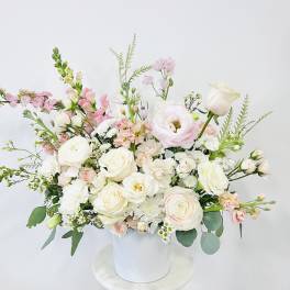 Blush Elegance (L)