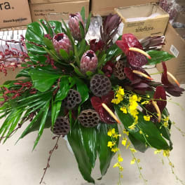 Tropic Home Going