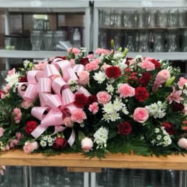 Pink and Red Rose