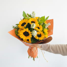 My Sunflower