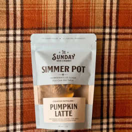 Pumpkin latte stovetop potpourri in a pouch on plaid fabric