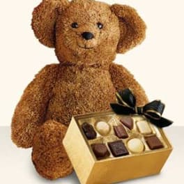 Brown teddy bear holding a box of assorted chocolates
