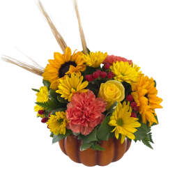 Pretty Pumpkin Bouquet