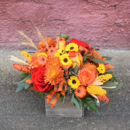 Harvest Celebration