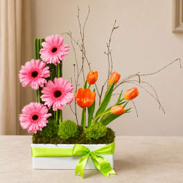 Pink gerbera daisies and orange tulips in a white box with a green ribbon