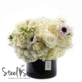 Cream rose bouquet in a black vase with pale anemones