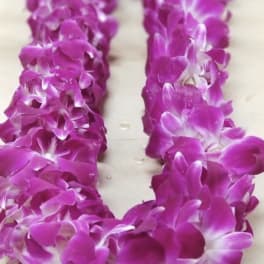 A purple orchid lei arranged in a loop on a light surface.