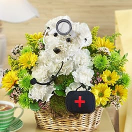 Nurse Terry the Terrier