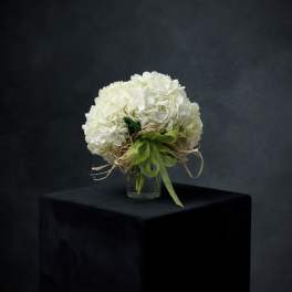 White Hydrangea Cluster