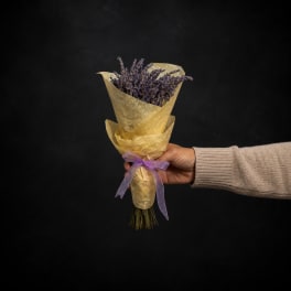 Dried Lavender Bundle