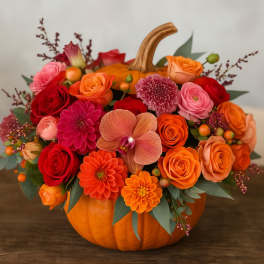 Cheerful Pumpkin Embrace Bouquet