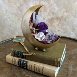 Purple rose in a crescent moon holder with crystals and a magnifying glass on books