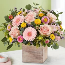 rustic spring