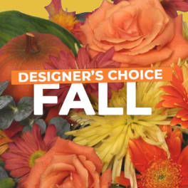 Designer's Choice Fall