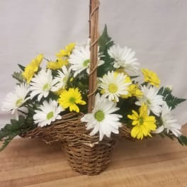 Say It With Daisies