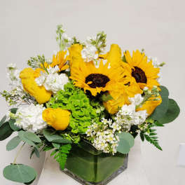 Pop of Yellow