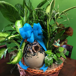 Dish Garden with a Bird House