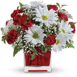 Red carnations and white daisies in a clear square vase
