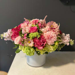Fall pink
