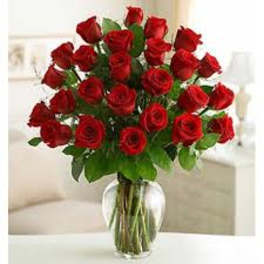 24 Roses Vased