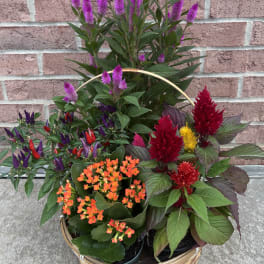 Basket of potted flowering plants with purple, red, and orange blooms