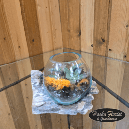 Small succulent arrangement in a round glass bowl on a stone slab