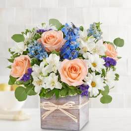 Peach roses and white daisies in a wooden box with blue flowers