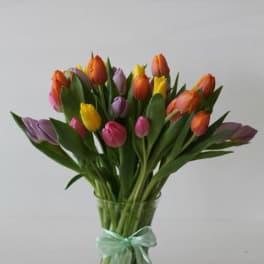 Mixed bouquet of pink, yellow, orange, and purple tulips in a glass vase with a ribbon.
