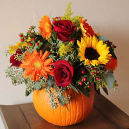 Fall Pumpkin