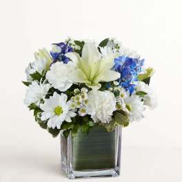Healing Tears Blue & White