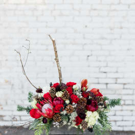 Noel's Blooms