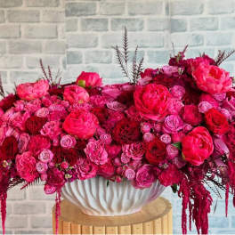 Fuchsia shades