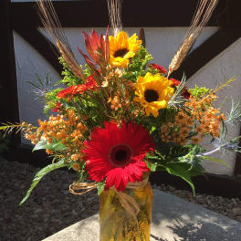Autumn Blooms