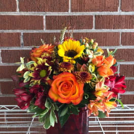 Mixed bouquet with orange roses and a sunflower in a burgundy vase