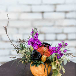 Pumpkin Garden Blooms
