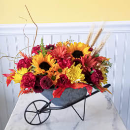 Harvest Pushcart