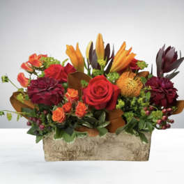 Box of Autumn
