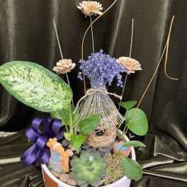 Potted plant arrangement with blue flowers, succulents, and decorative accents in a bowl