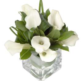 Graceful Blooms
