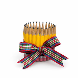 Bundle of yellow pencils tied with a plaid ribbon