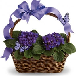 Purple flowers in a wicker basket with a lavender ribbon and butterfly accents